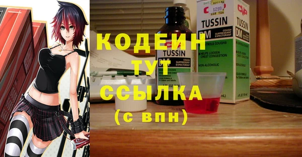 соль ск Арсеньев